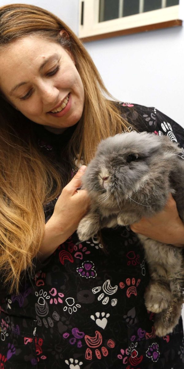 Dott.ssa Sara Bergaglio Medico Veterinario