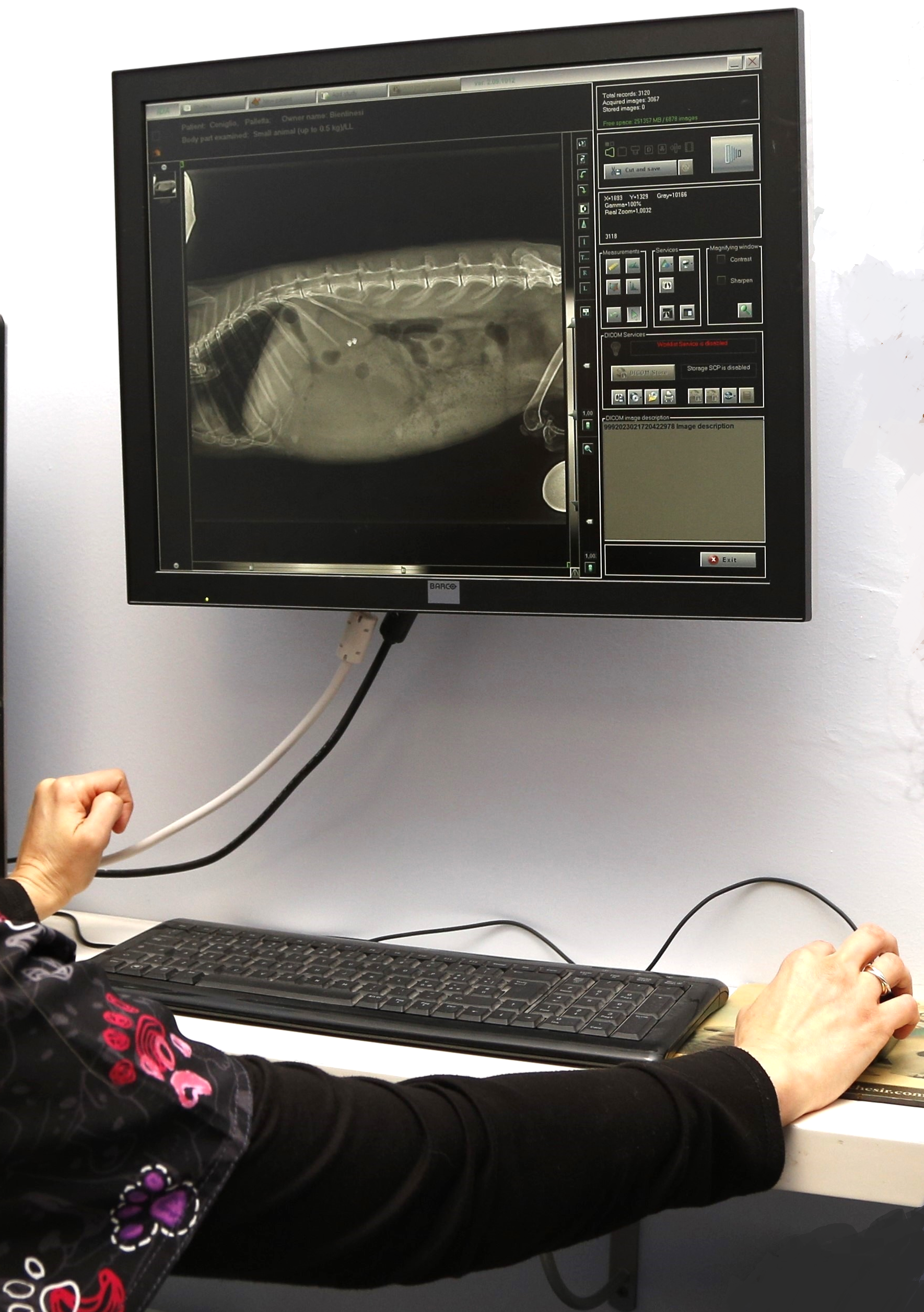 Dott.ssa Sara Bergaglio Medico Veterinario