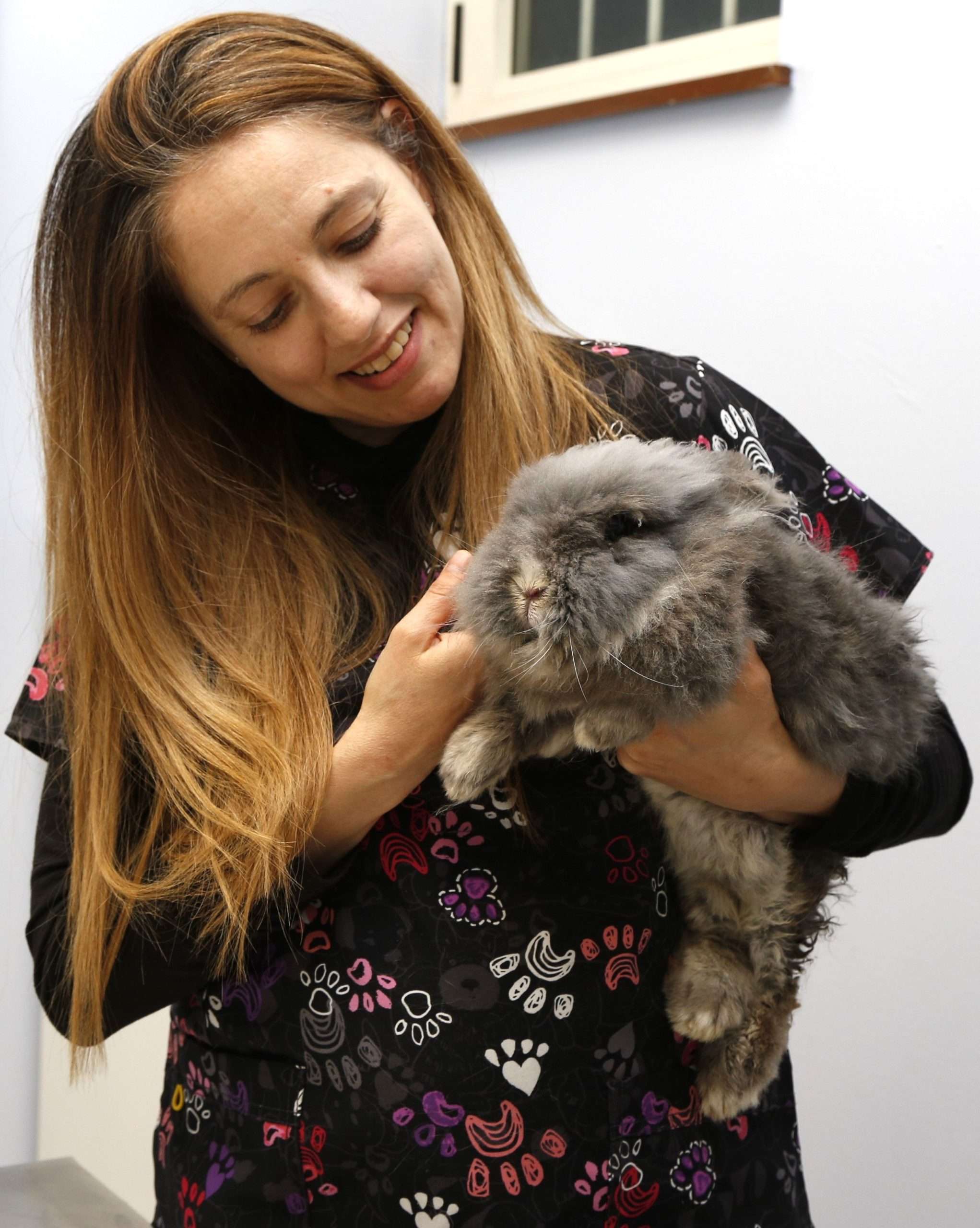 Dott.ssa Sara Bergaglio Medico Veterinario